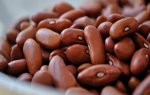 beans-min